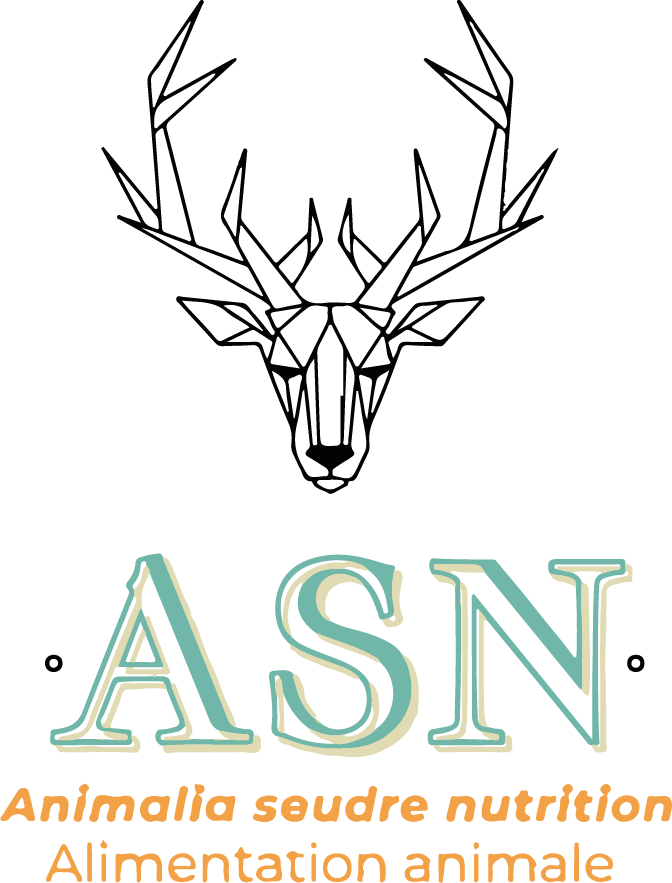 Logo_1 Logo_1